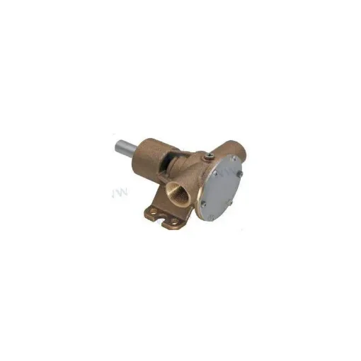 Salt Water Pump - REC10-24571-01 product image