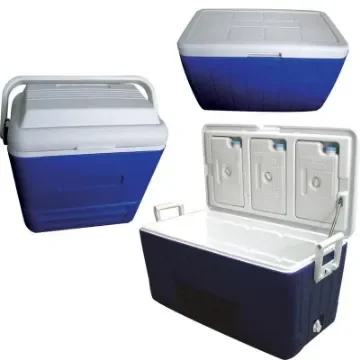 Portable 13L Cooler - 31377 product image