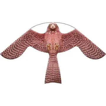 Brown Falcon Comet - BES507 product image