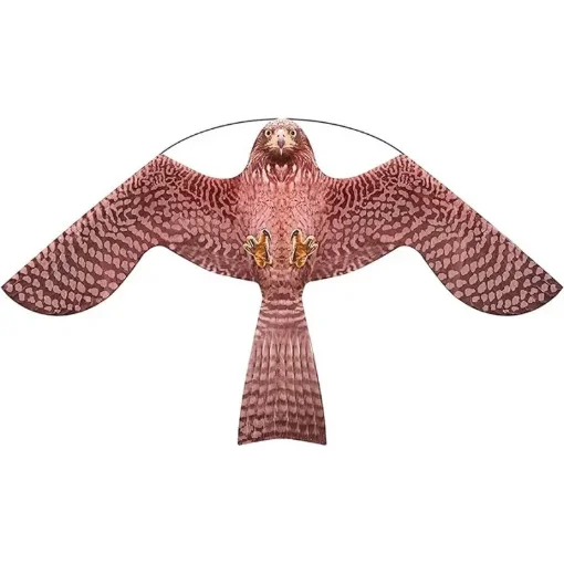 Brown Falcon Comet - BES507 product image