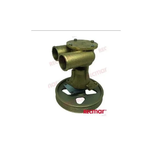 Salt Water Pump - REC21141637 product image