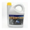 Volvo Antifreeze Orange - 24383484 product image