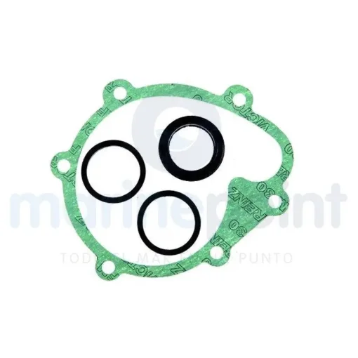 Orbitrade - Circulation Pump Seals Kit - ORB22014 product image