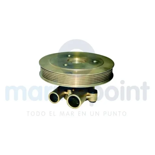 Salt Water Pump - REC21212799 product image