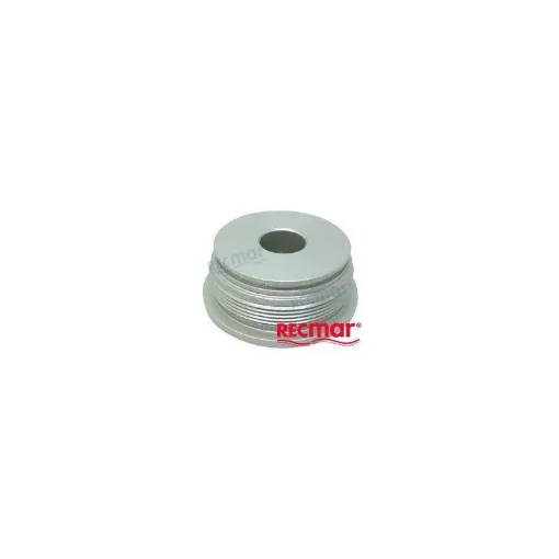 Volvo Piston Trim Nut - REC19088 product image