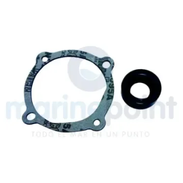 Seal and Gasket Pump Kit - REC22072 product image