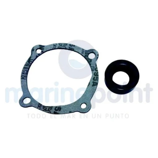 Seal and Gasket Pump Kit - REC22072 product image