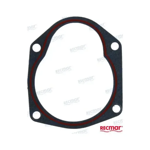 Mcm Water Pump Gasket - REC27-822189 product image