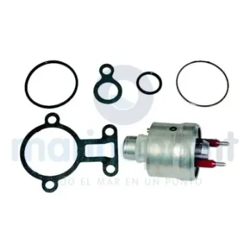 Injector with Gaskets - REC3858941 product image