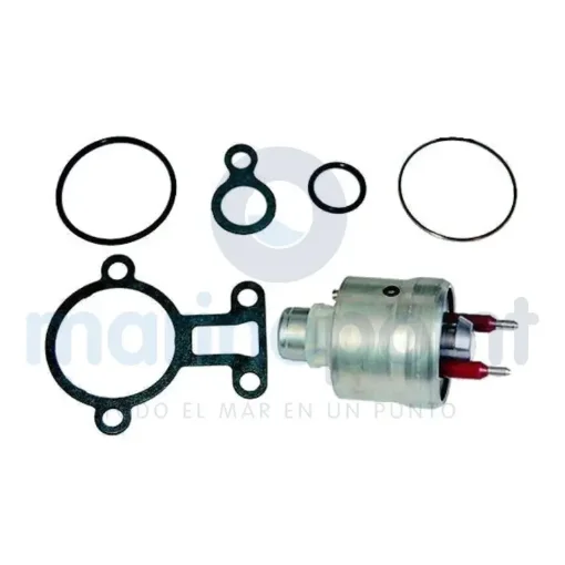 Injector with Gaskets - REC3858941 product image