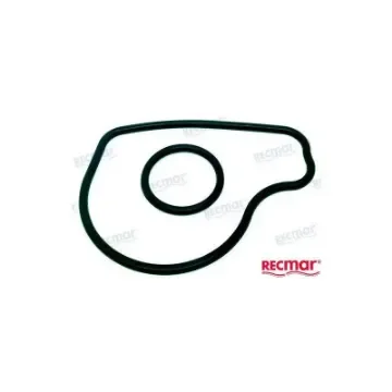 Transom Sx Gasket + Aros - REC39631 product image