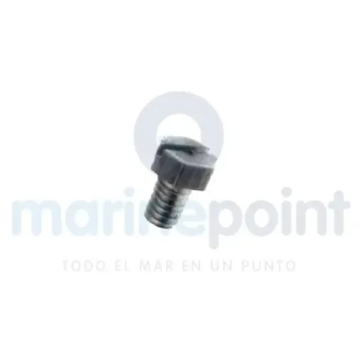 Water Pump Cap Screw - REC840785 product image