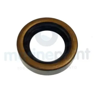 Volvo Transom Seal - RM3883257 product image