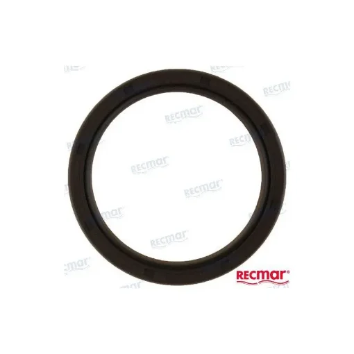 Brown Lower Seal - REC3863082 product image