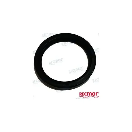 Volvo Dph/Dph-D Lower Seal - REC3863083 product image