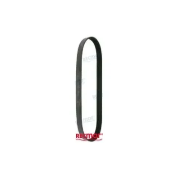 Alternator Belt for Volvo D3 - REC22283751 product image