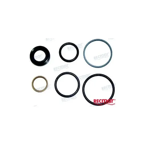 Volvo Dph/Dpr Steering Piston Repair Kit - REC22170 product image