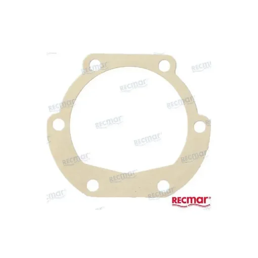 Gasket for Water Pump Sealing - REC840385 product image