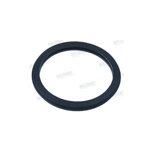 Rubber Gasket for Engine and Transmission - REC416033 product image