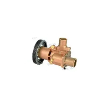 Salt Water Pump - REC21380890 product image