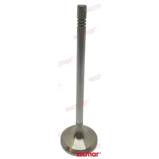 Volvo D4/6 Exhaust Valve - RM3884015 product image