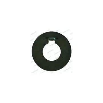 Radice Propeller Safety Washer 40 Mm Shaft - 38250573 product image