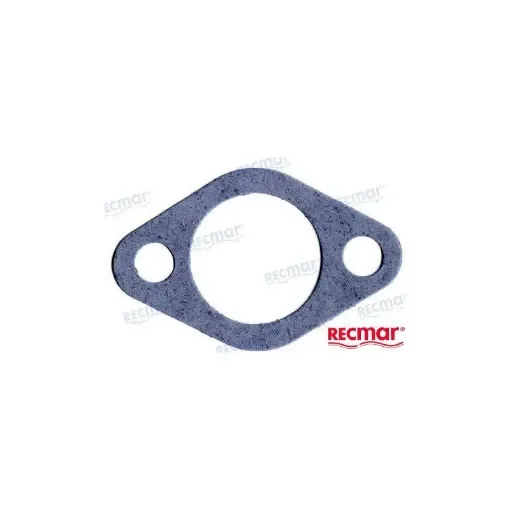 Gasket - REC27-49110 product image