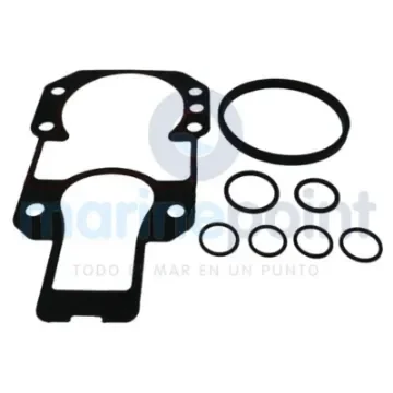 Alpha One and Gene-II Glue Gaskets Kit - REC27-94996Q2 product image