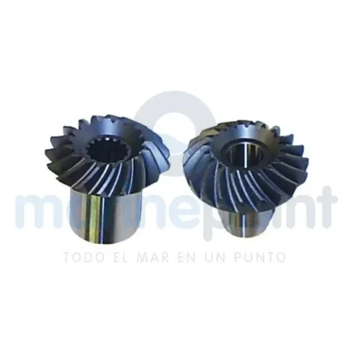 Alpha Pine Nuts Kit - REC43-853643A product image