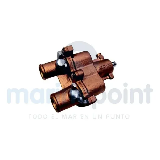 Salt Water Pump 6.2MPI - REC46-862914T10 product image