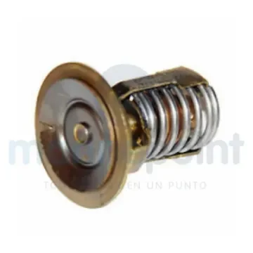 Mercury Thermostat 110º - REC850055001 product image