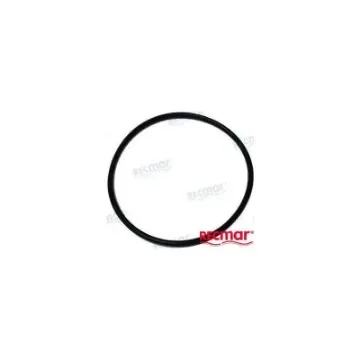 O-Ring for Mercury Water Pump - REC25-67202 product image
