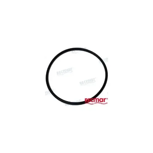 O-Ring for Mercury Water Pump - REC25-67202 product image