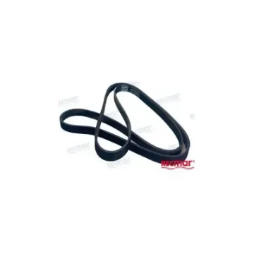 Mercruiser Serpentine Belt Replacement - REC57-879172120 product image