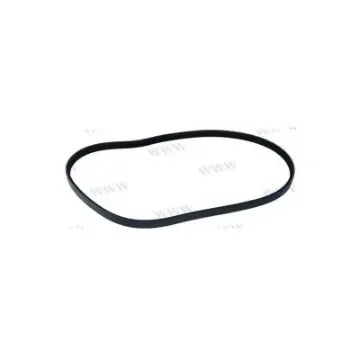 Standard Mercruiser Engine Replacement Belt - REC57-879150023 product image
