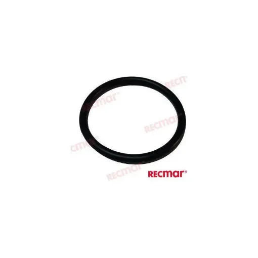 Sealing O-Ring for Mcm Marine Engine - REC25-85549 product image