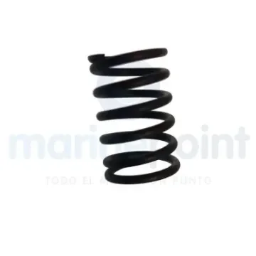 Parsun Valve Spring MCM: 24-850840 Yamaha: 66M-12113-00 - F15-07040005 product image