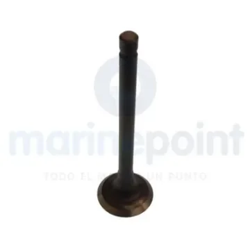 Parsun Exhaust Valve Mcm:850839, 850839T - F15-07040002 product image