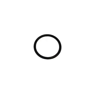 Parsun - ARO TORICO 1-25 8X2.65 - GB/T3452.1-25.8X2 product image