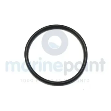 Aro Torico Fuel Pump - JASOF404-A-24-021 product image