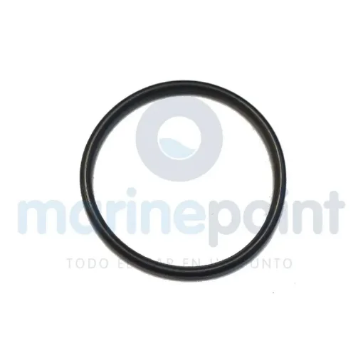 Aro Torico Fuel Pump - JASOF404-A-24-021 product image