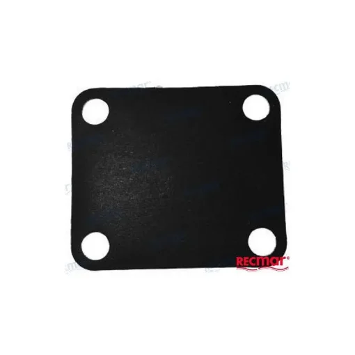 Fuel Pump Membrane - REC677-24471-01 product image