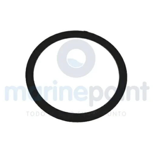 Parsun Nylon Washer - T15-01000003 product image