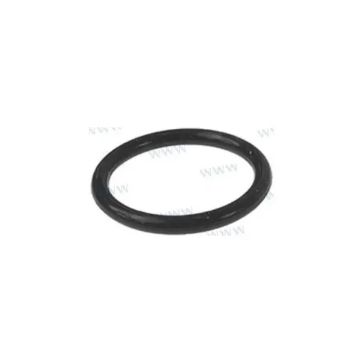 Parsun - Aro Torico Replacement Parts - F4-04000008 product image