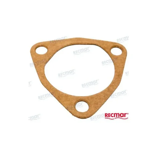 Water Pump Gasket Cover - REC128170-42090 product image