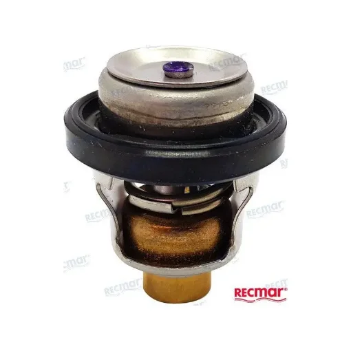 Thermostat Replacement for OMC & Suzuki - REC17670-87J00 product image