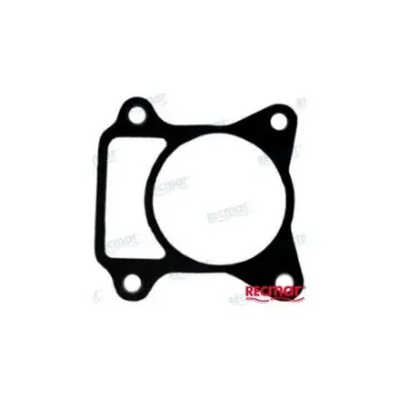 Gasket for Honda Water Pump - REC19242-ZV5-000 product image
