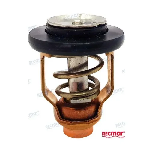 Suzuki DF90A and Omc Thermostat - REC17670-90J10 product image