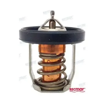 Thermostat Compatible with OMC/Suzuki - REC17670-91J01 product image