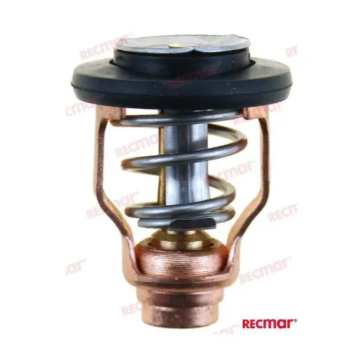 Yamaha Thermostat 55°C - 6D9-12411-00 product image